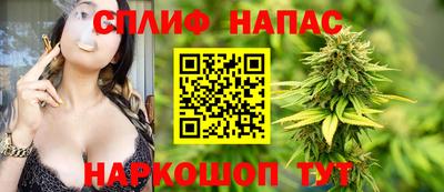сатива Кунгур