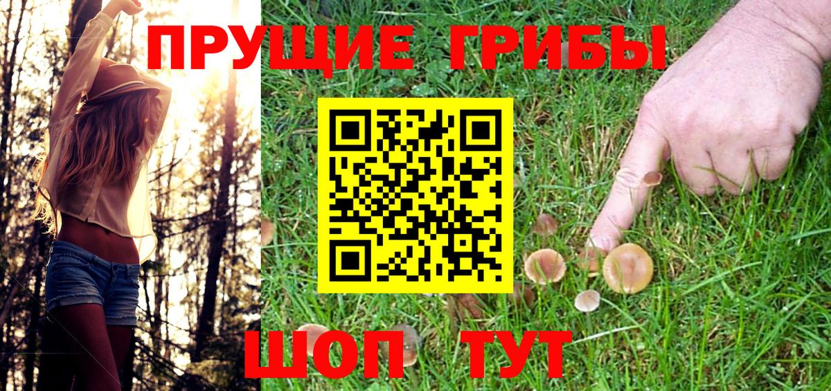 Галлюциногенные грибы прущие грибы Киров
